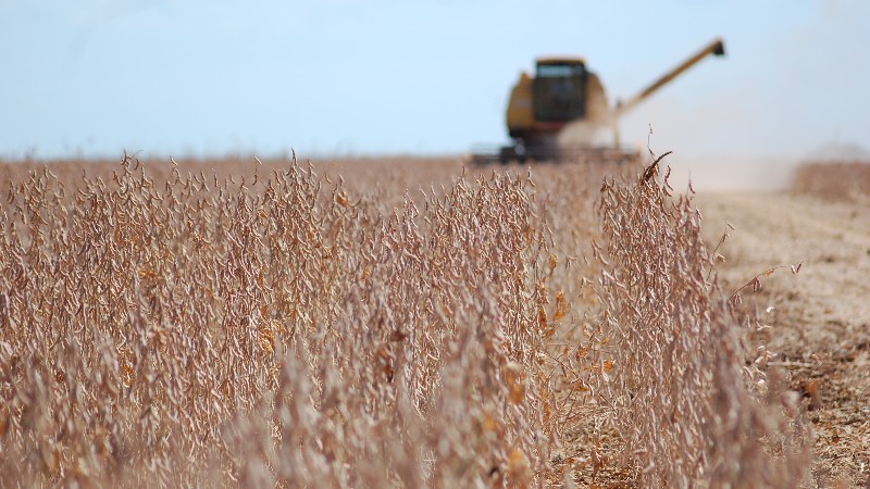Bancada do Agro Articula Socorro Bilionário para Produtores Endividados